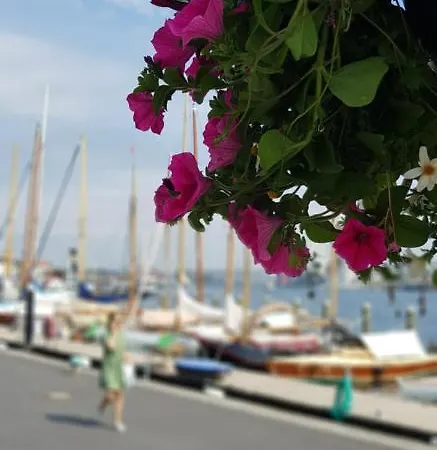 Piratenkoje